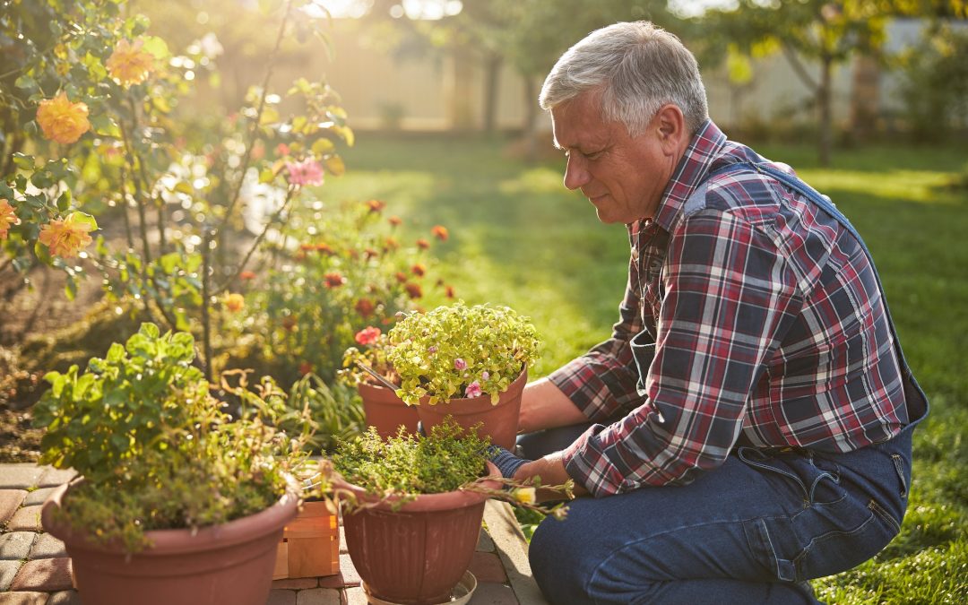 Senior citizen kneeling and holding a blooming potted flower
